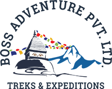 boss adventure logo